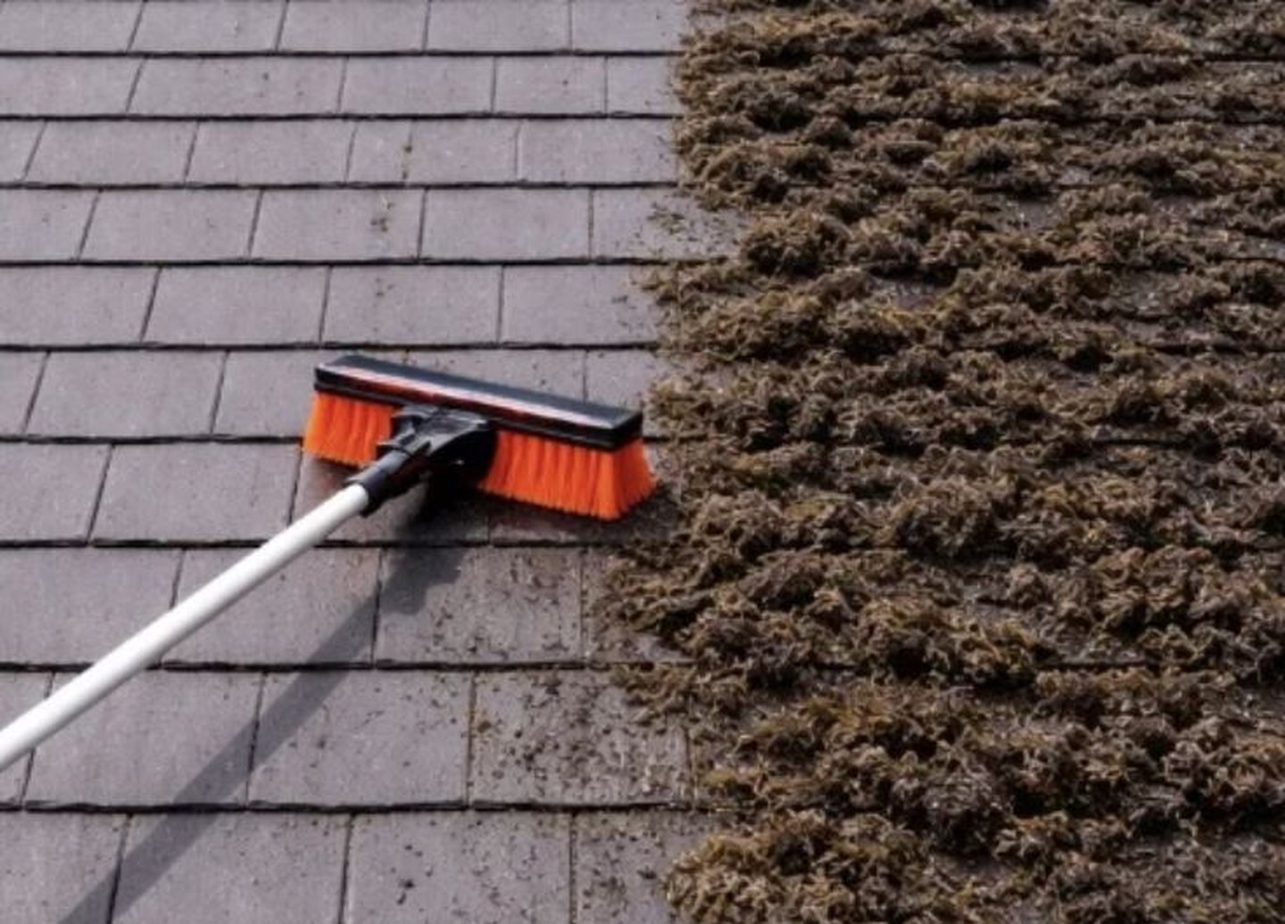 Moss being cleared from concrete tiles